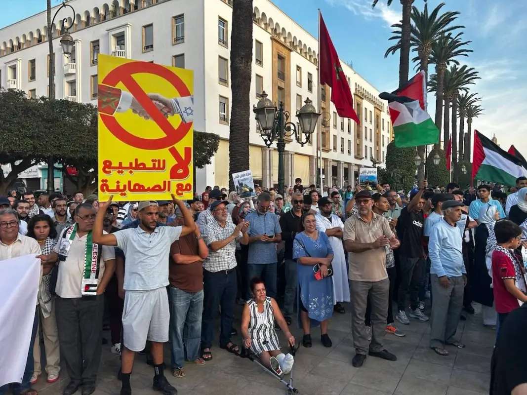 Egypt has offered a temporary ceasefire to Israel and Palestine