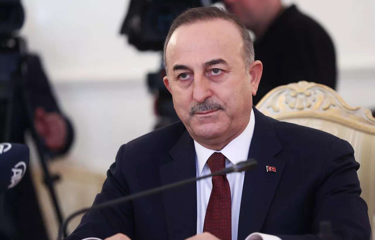 Чавушоглу поблагодарил Арарата Мирзояна