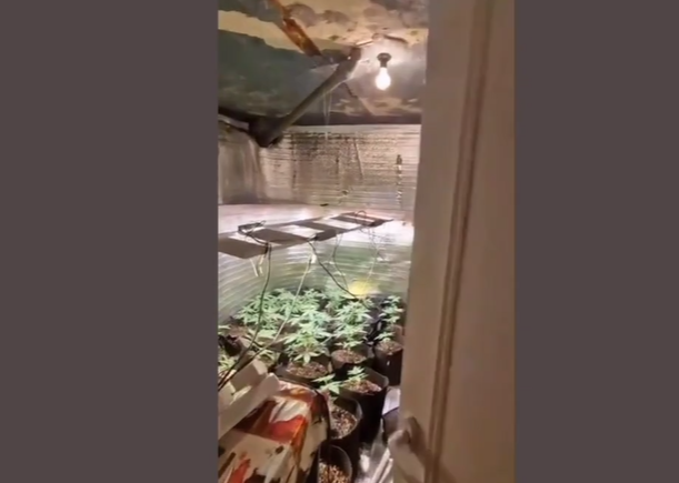 Բացահայտվել է լաբորատոր պայմաններում թմրամիջոցներ պատրաստելու դեպք. ՔԿ