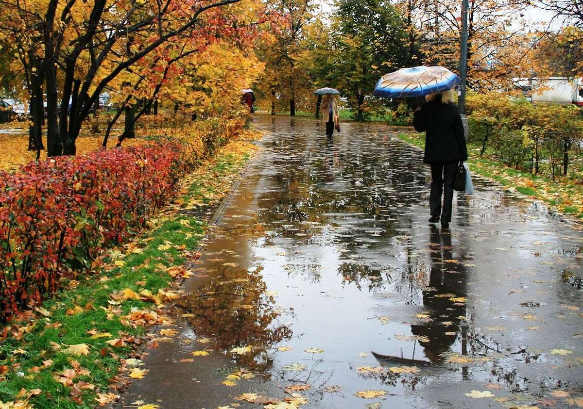 Rain and thunder are expected, air temperature will drop