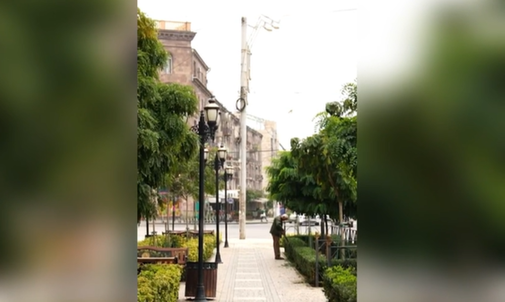 «Կշարունակենք ոչ կենսունակ ծառերի փոխարեն նորերը տնկել». Տիգրան Ավինյան (ՏԵՍԱՆՅՈՒԹ)