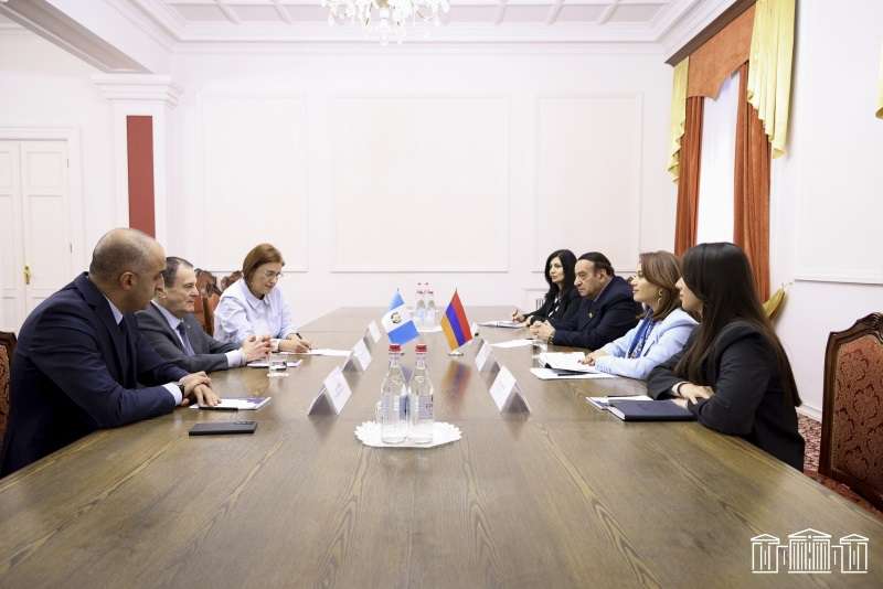 Armenia attaches importance to the development of relations with South America