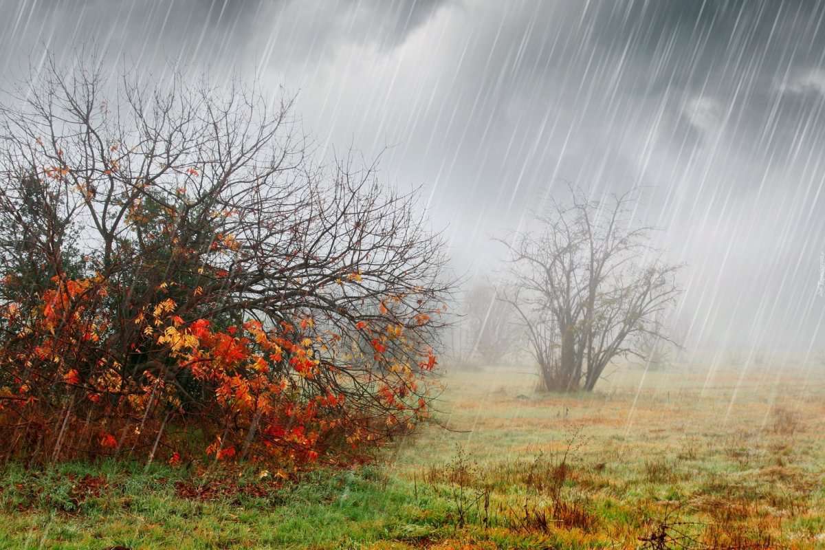 Precipitation is expected, and air temperature will drop