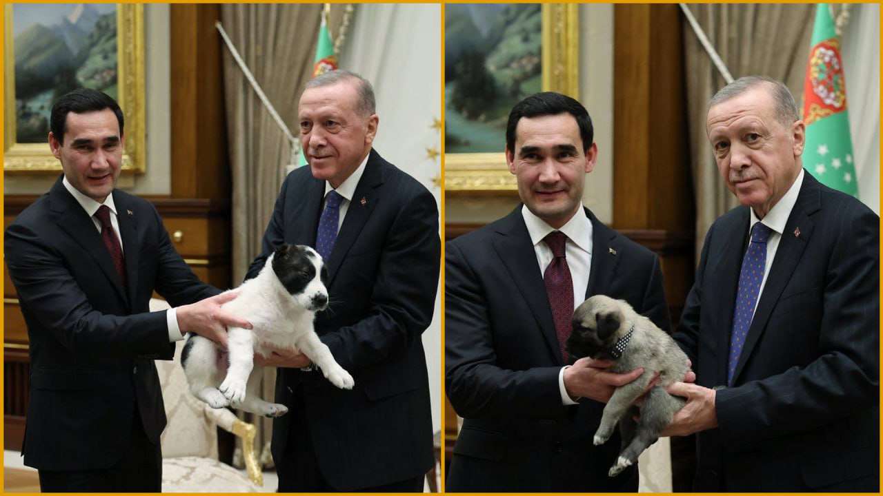 Президенты Турции и Туркменистана обменялись собаками