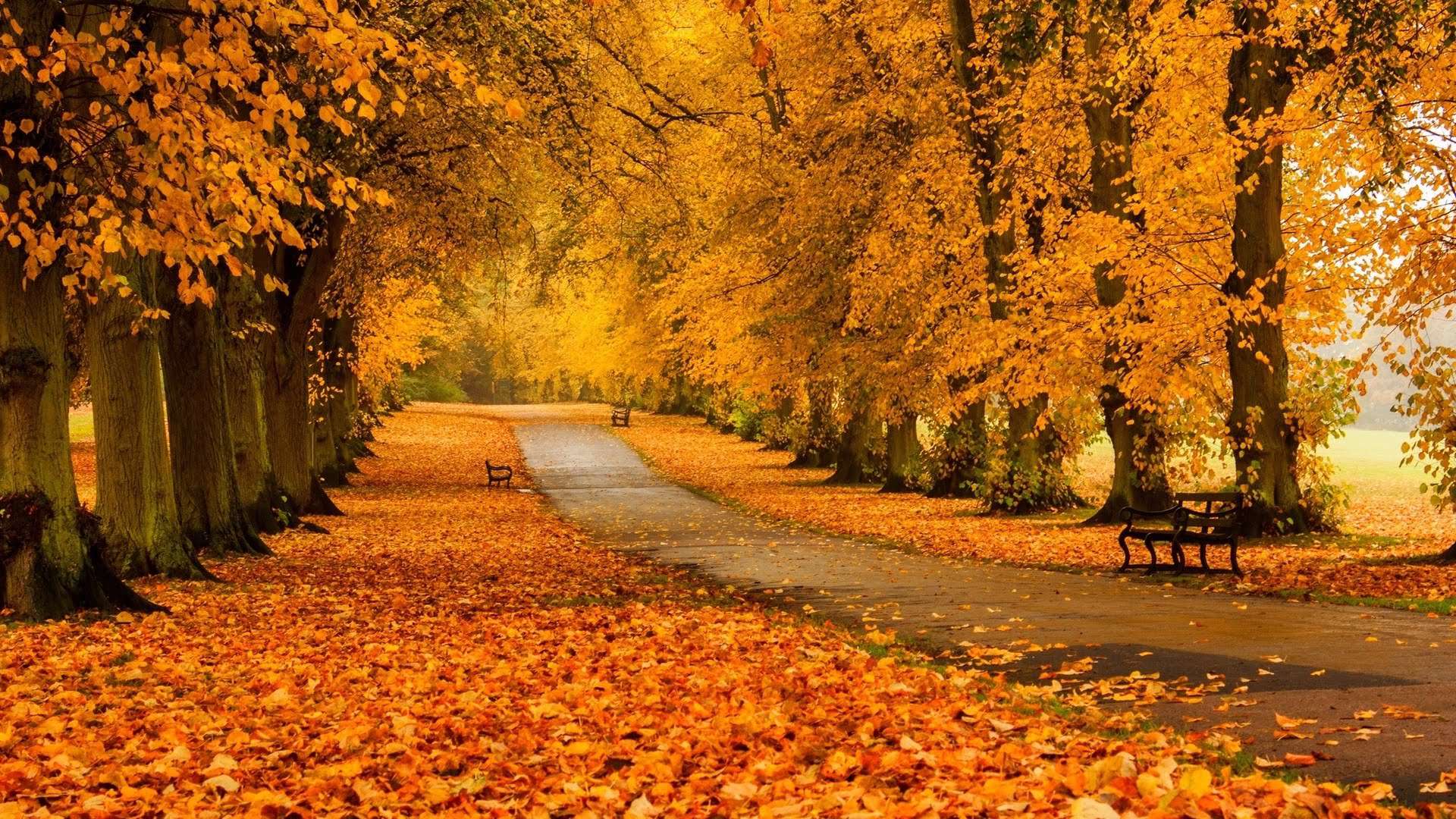 No precipitation is expected in the coming days