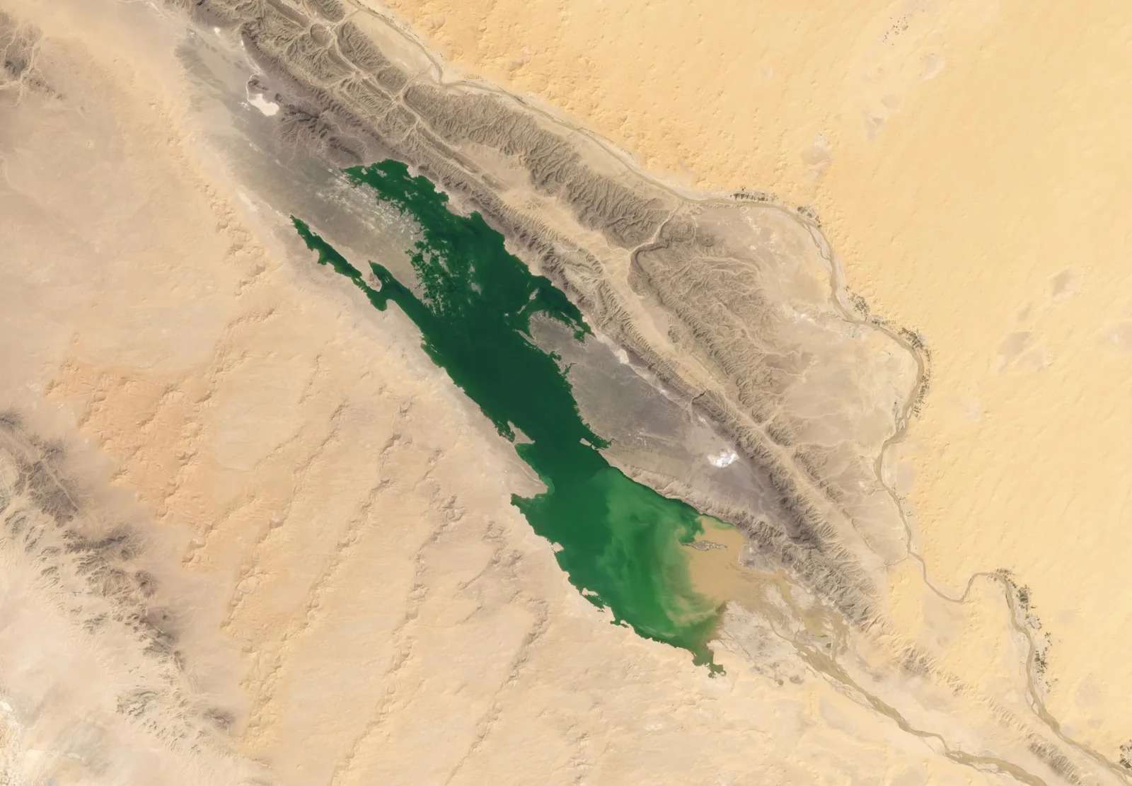 In the transformation of the Sahara, the sands of the desert are filled with water