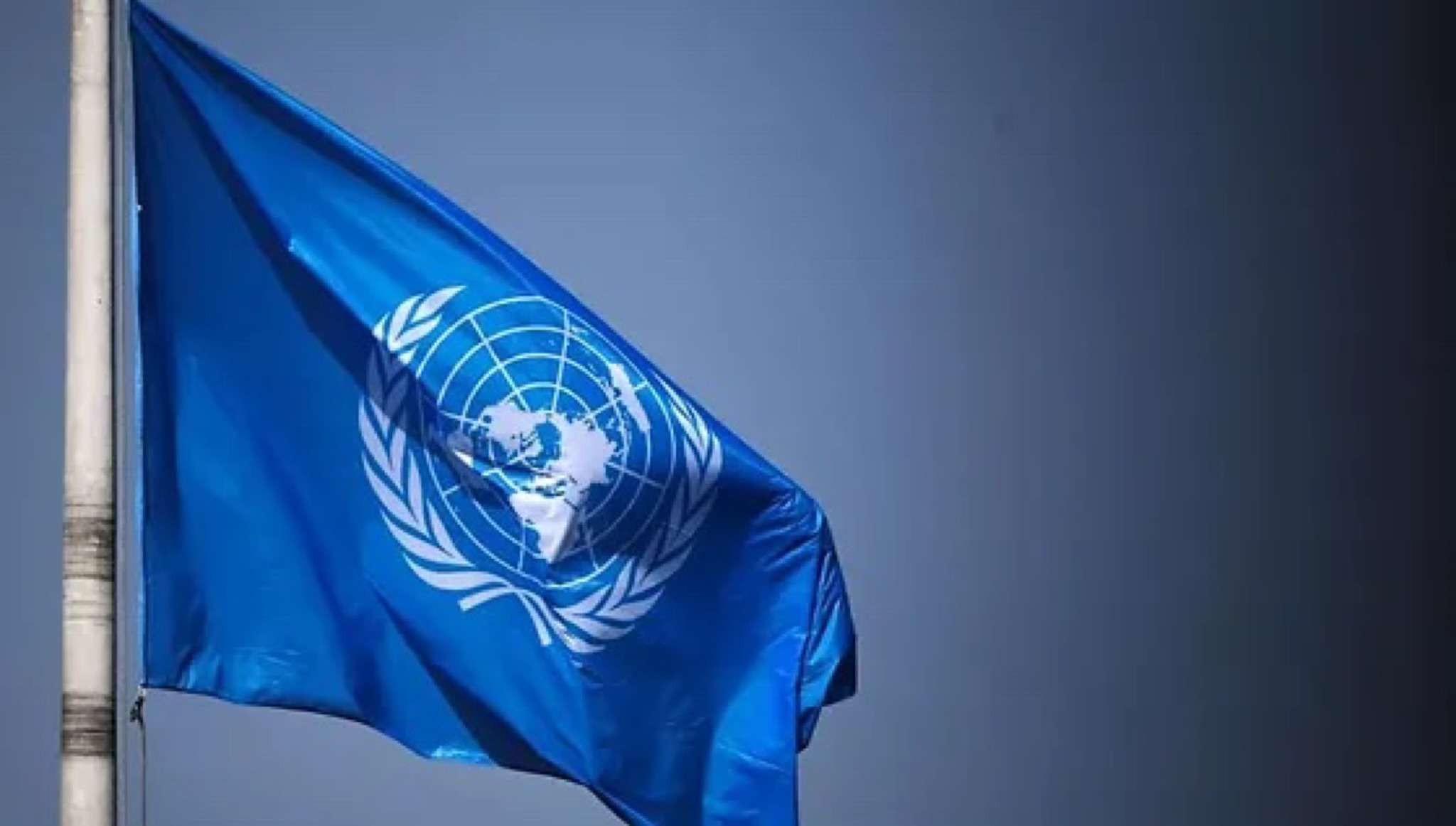 To ensure the rights of Armenians in Artsakh, the UN must act professionally. Lemkin Institute