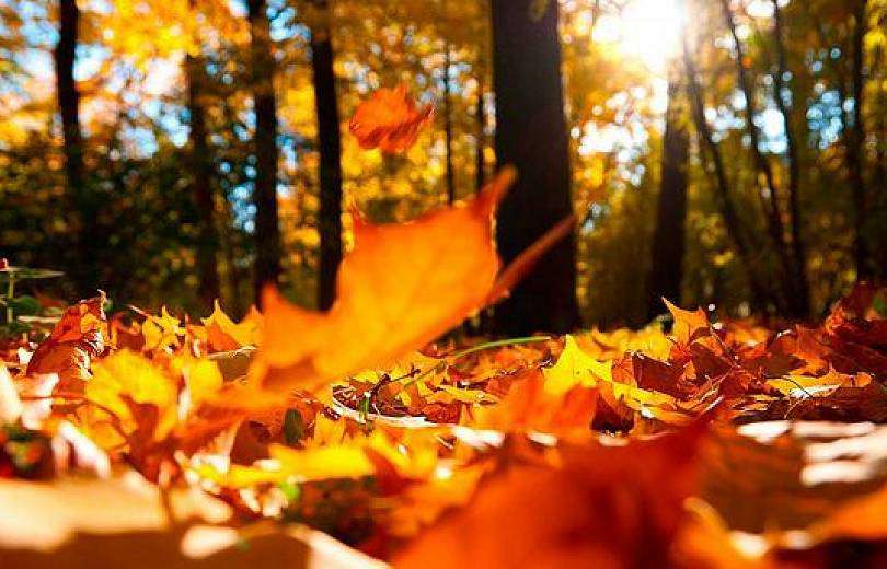 No precipitation is expected, the air temperature will rise