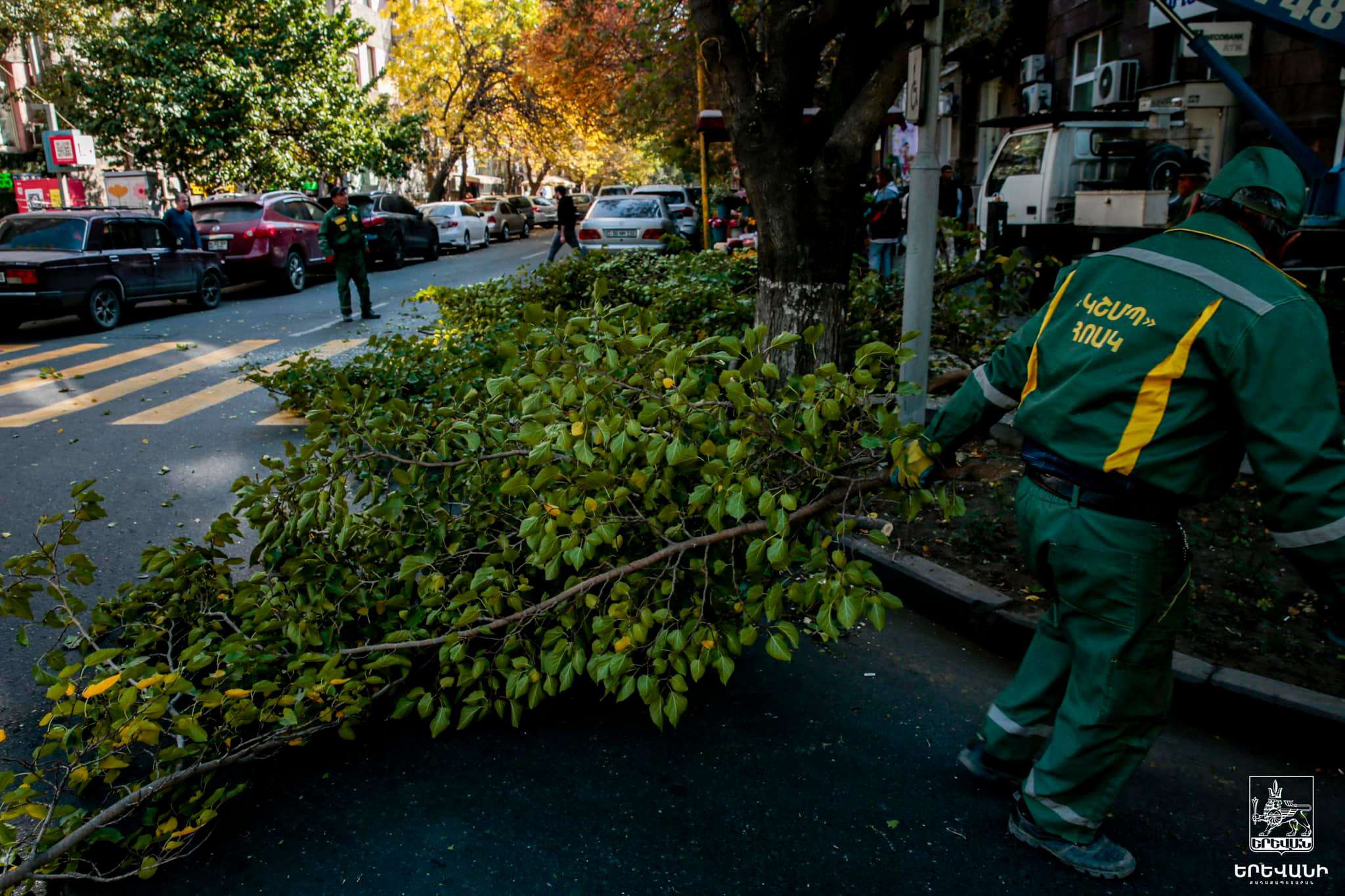 Pruning works have started in the capital (PHOTOS)
