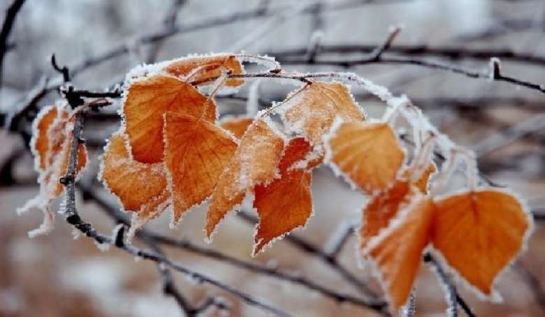 In the Ararat valley and its foothills, the air is expected to be cold up to -2 degrees