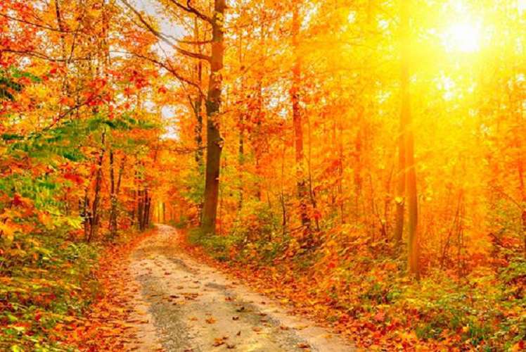 Weather without precipitation is expected