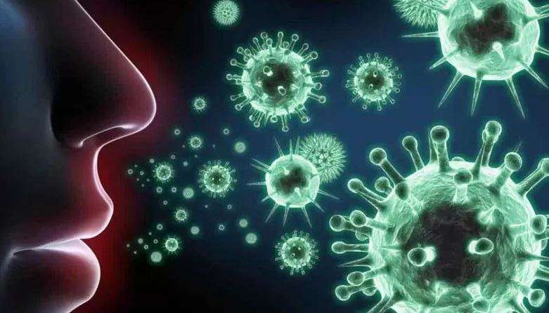 A causative agent of type B influenza was found in Armenia