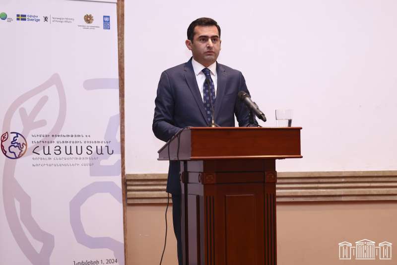"We must work to build a sustainable energy future." Arshakyan
