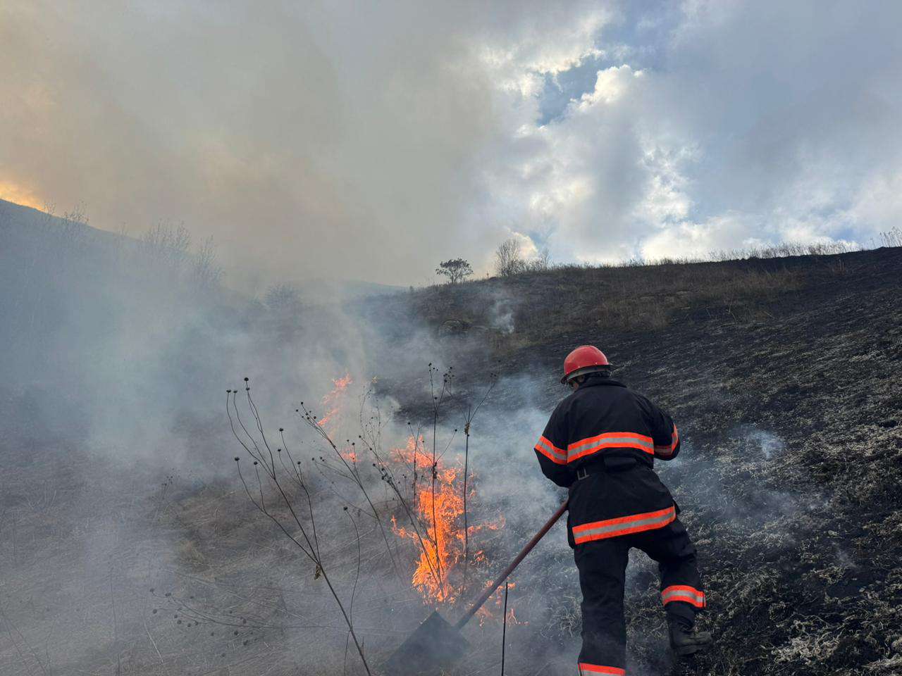 Մեծ քանակությամբ խոտածածկույթ է այրվել