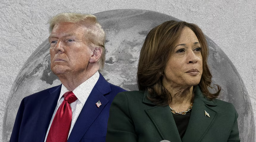 Which celebrities support Trump and Harris?