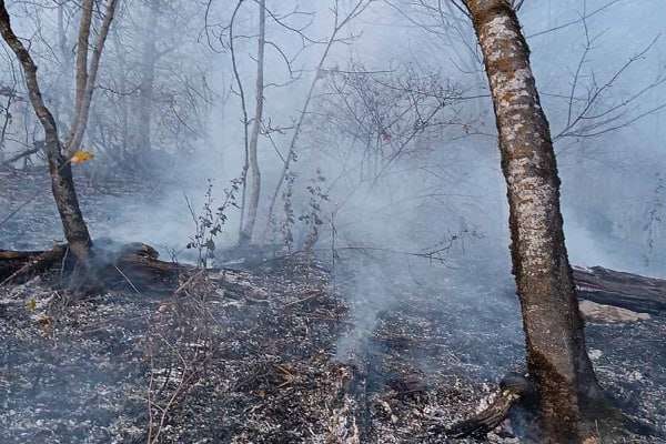 Հրդեհ «Դիլիջան ազգային պարկ»-ում