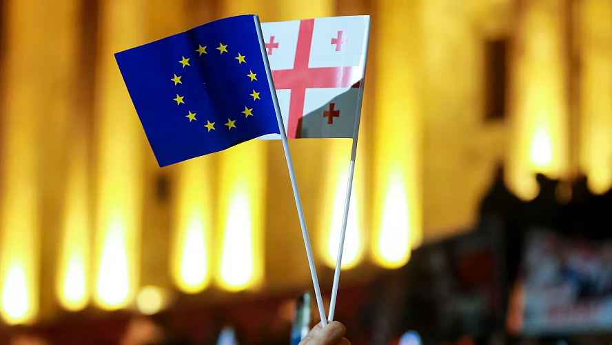 MEPs demand an independent international investigation in Georgia