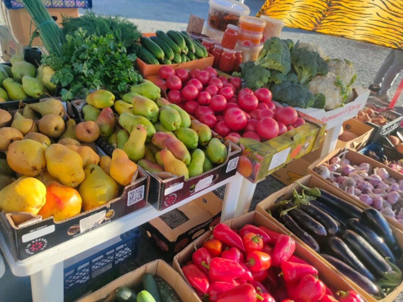 Վրաստանն արդեն 100 մլն դոլարի միրգ և բանջարեղեն է արտահանել Ռուսաստան