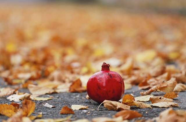 Weather without precipitation is expected