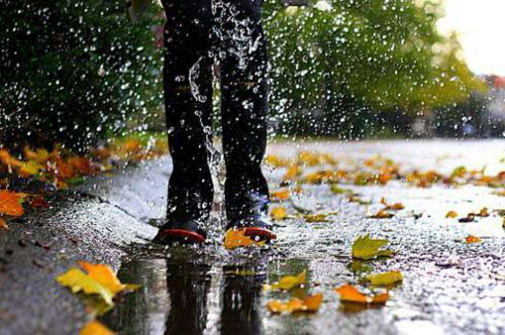 Precipitation is expected, air temperature will drop by 4-6 degrees
