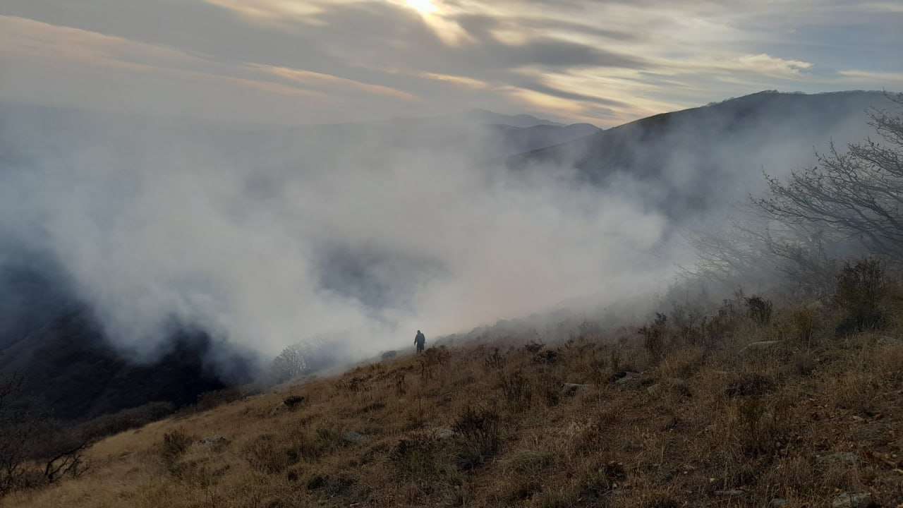Հրդեհ Բջնի գյուղի մոտակա սարում