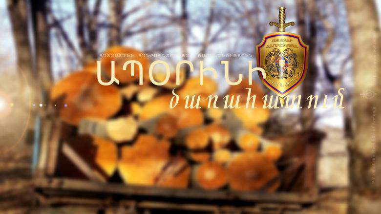 Լոռիում ապօրինի ծառահատման դեպք է բացահայտվել. պայտանյութը տեղափոխվում էր Գյումրի