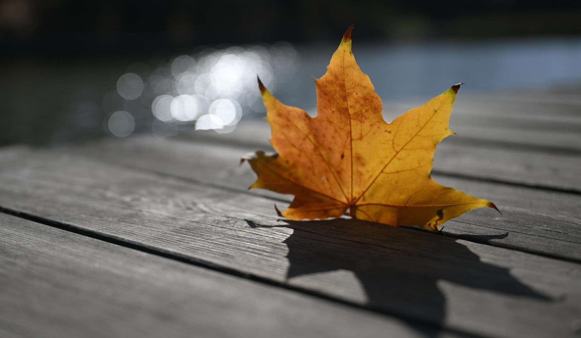 The air temperature will rise by 3-5 degrees