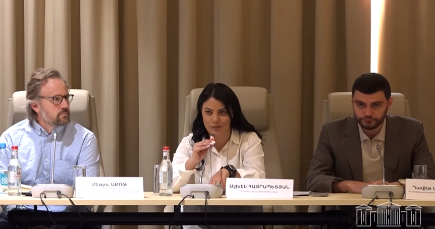 Քննարկվել են ԱԺ գործառույթներին վերաբերող հարցեր (ՏԵՍԱՆՅՈՒԹ)
