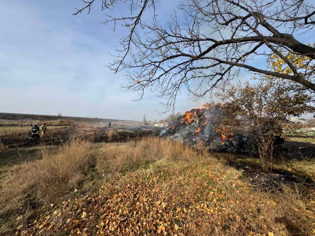 Արևաբույր գյուղում այրվել է անասնակեր