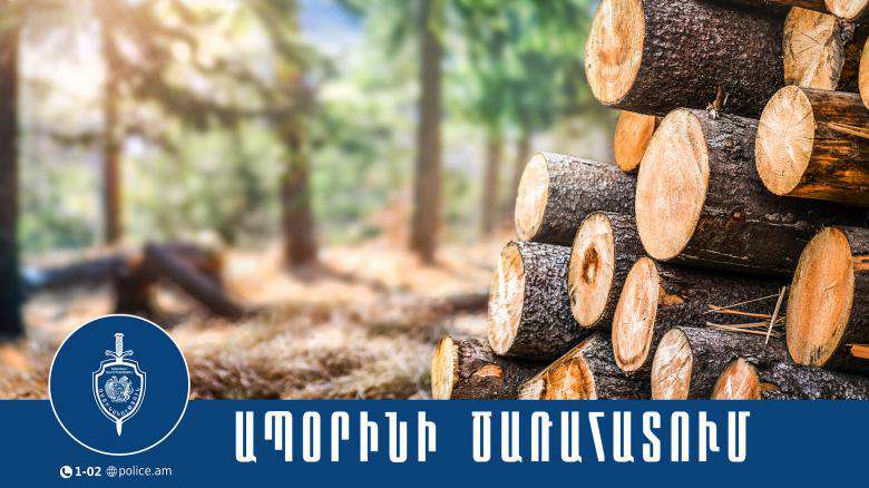 Ապօրինի հատվել է 25 ծառ