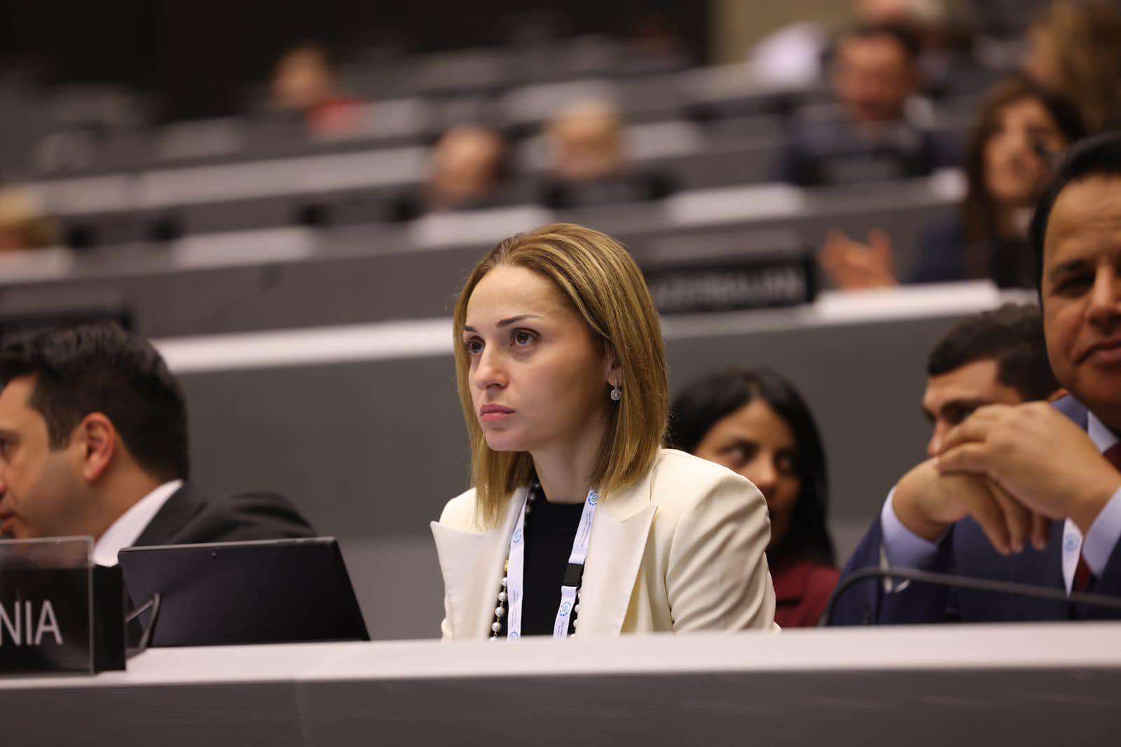 «Բյուջեն ներառական քննարկում է անցել». Ծովինար Վարդանյան