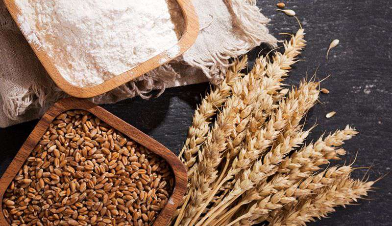 Turkey wants to produce flour from Russian wheat