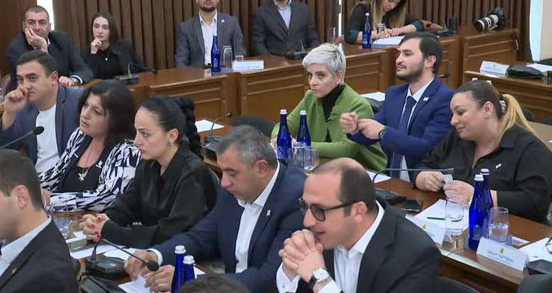 «Ամբիոնը պետք չէ օգտագործել ասմունքելու համար, այն էլ՝ անորակ բանաստեղծություններ». Անի Խաչատրյան (ՏԵՍԱՆՅՈՒԹ)