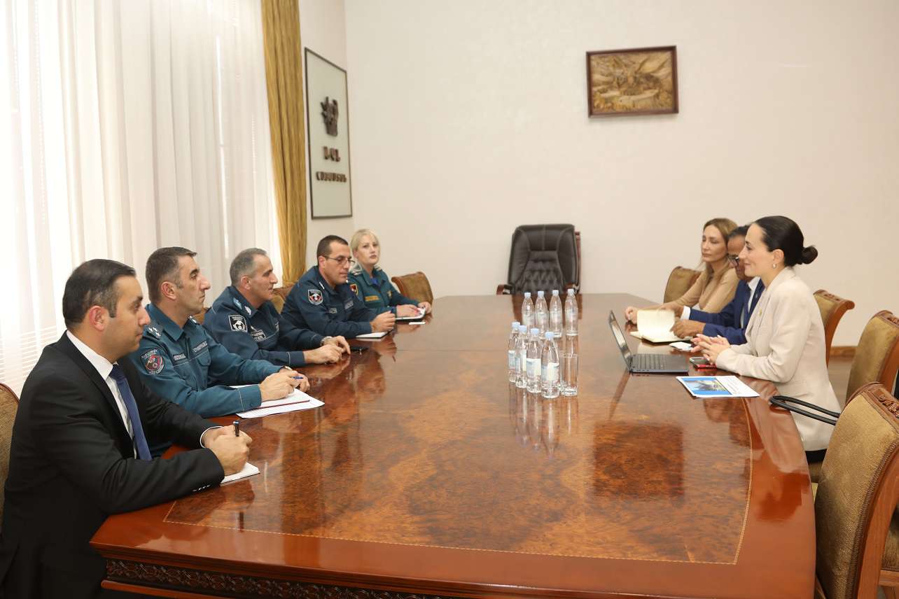 Քննարկվել են Նաիրիտ գործարանի տարածքի վտանգավոր նյութերին առնչվող հարցեր