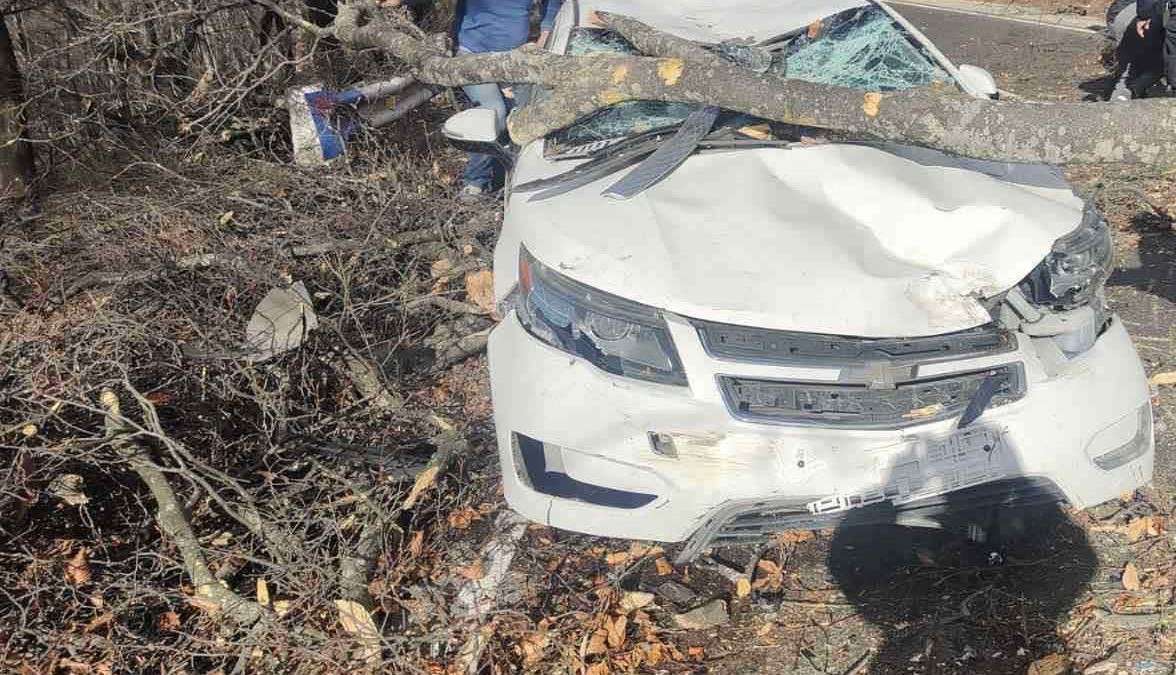 Վանաձոր-Ստեփանավան ավտոճանապարհին ծառն ընկել է ավտոմեքենայի վրա