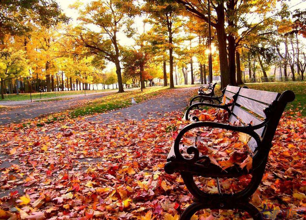 Weather without precipitation is expected