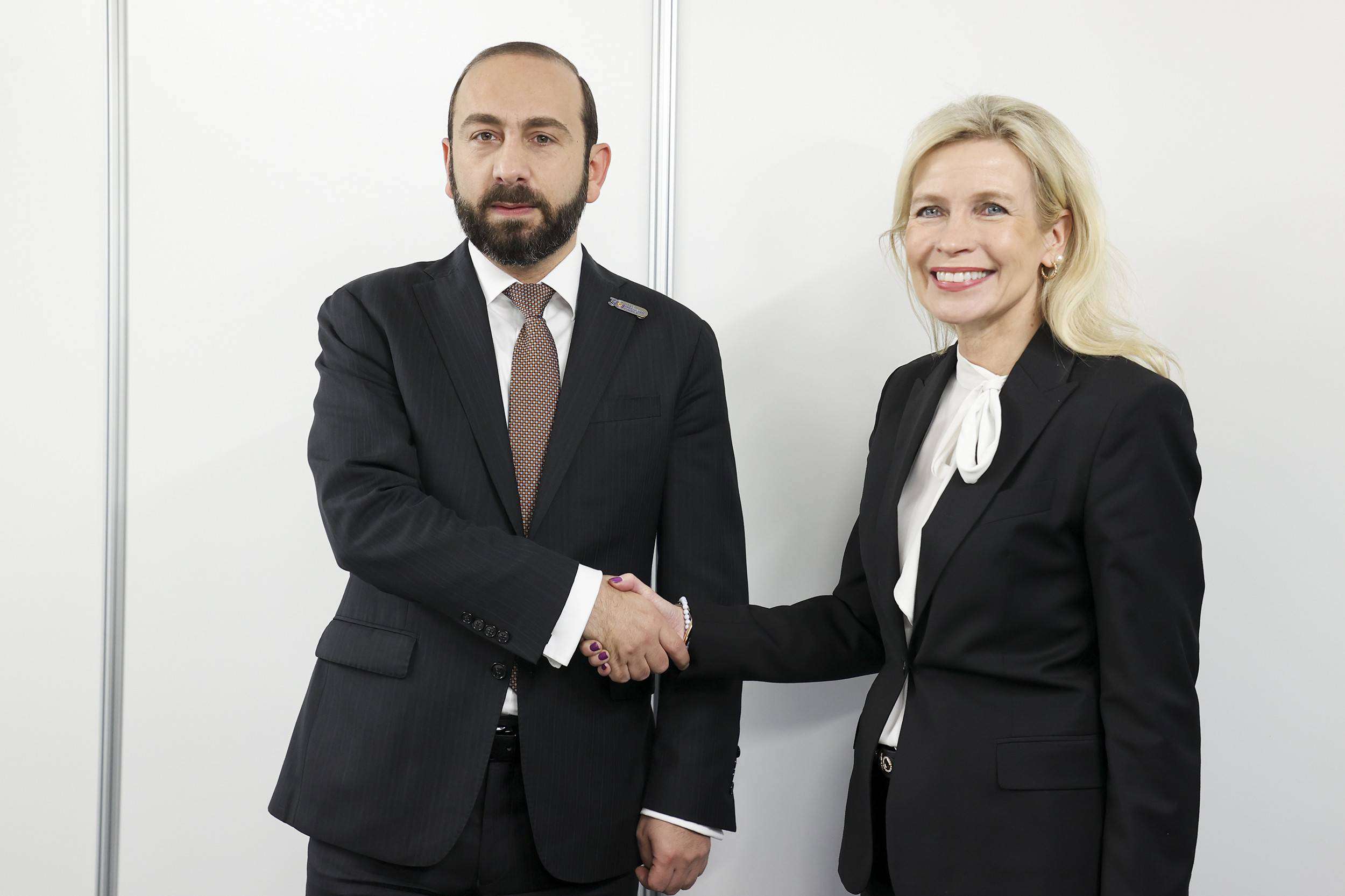 Ararat Mirzoyan presented the "Crossroads of Peace" project to the Chairman of the OSCE PA