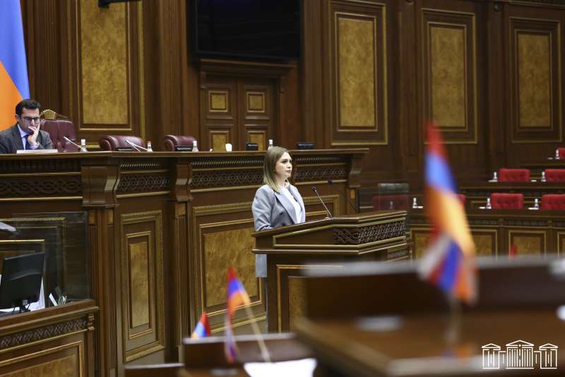 Կոռուպցիայի կանխարգելման հանձնաժողովի անդամի դերում քննարկվել է Նարինե Ազարյանի թեկնածությունը