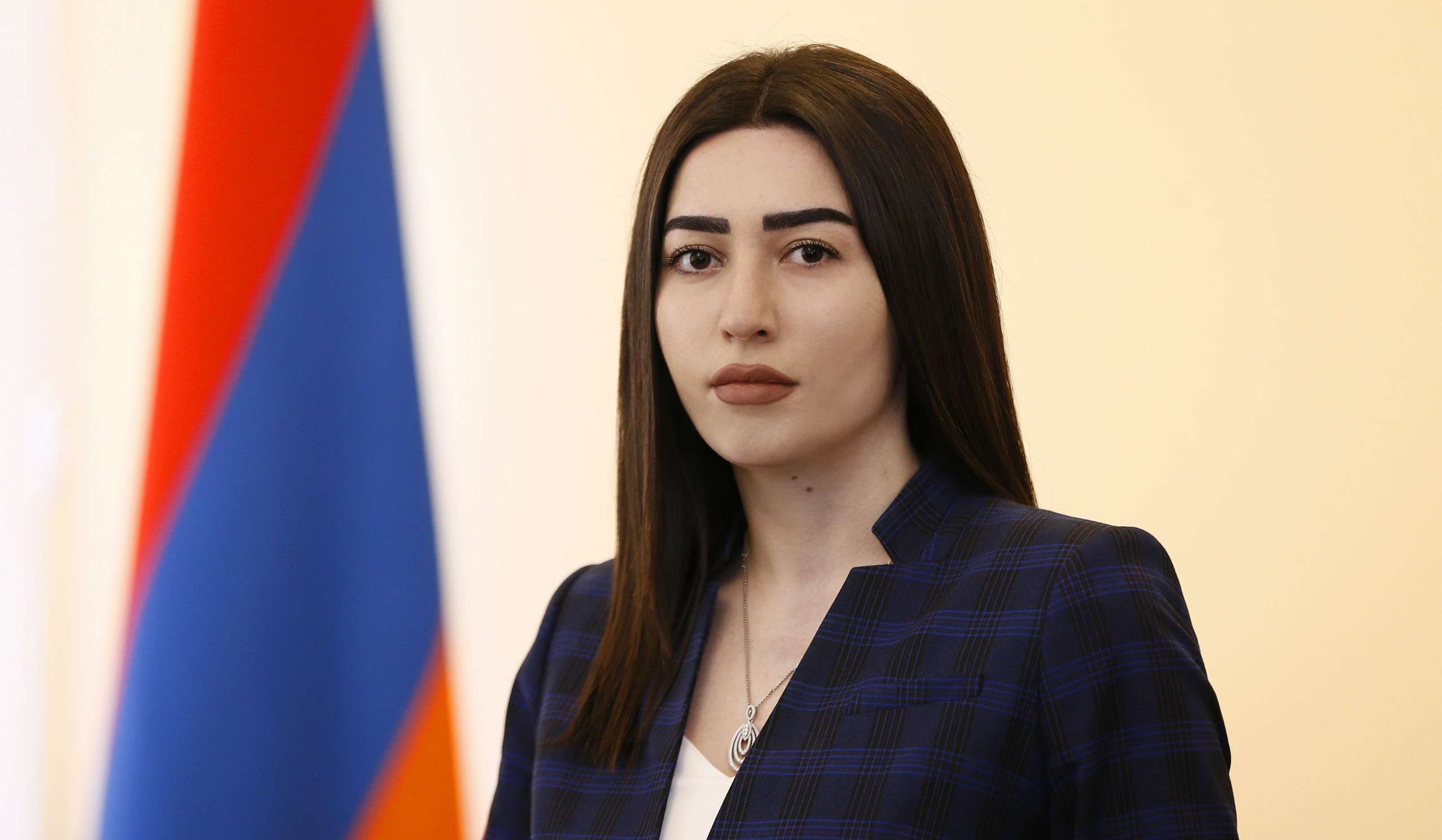 Ներկայացվել է կրթական համակարգի ինստիտուցիոնալ փոփոխությունների հայեցակարգը