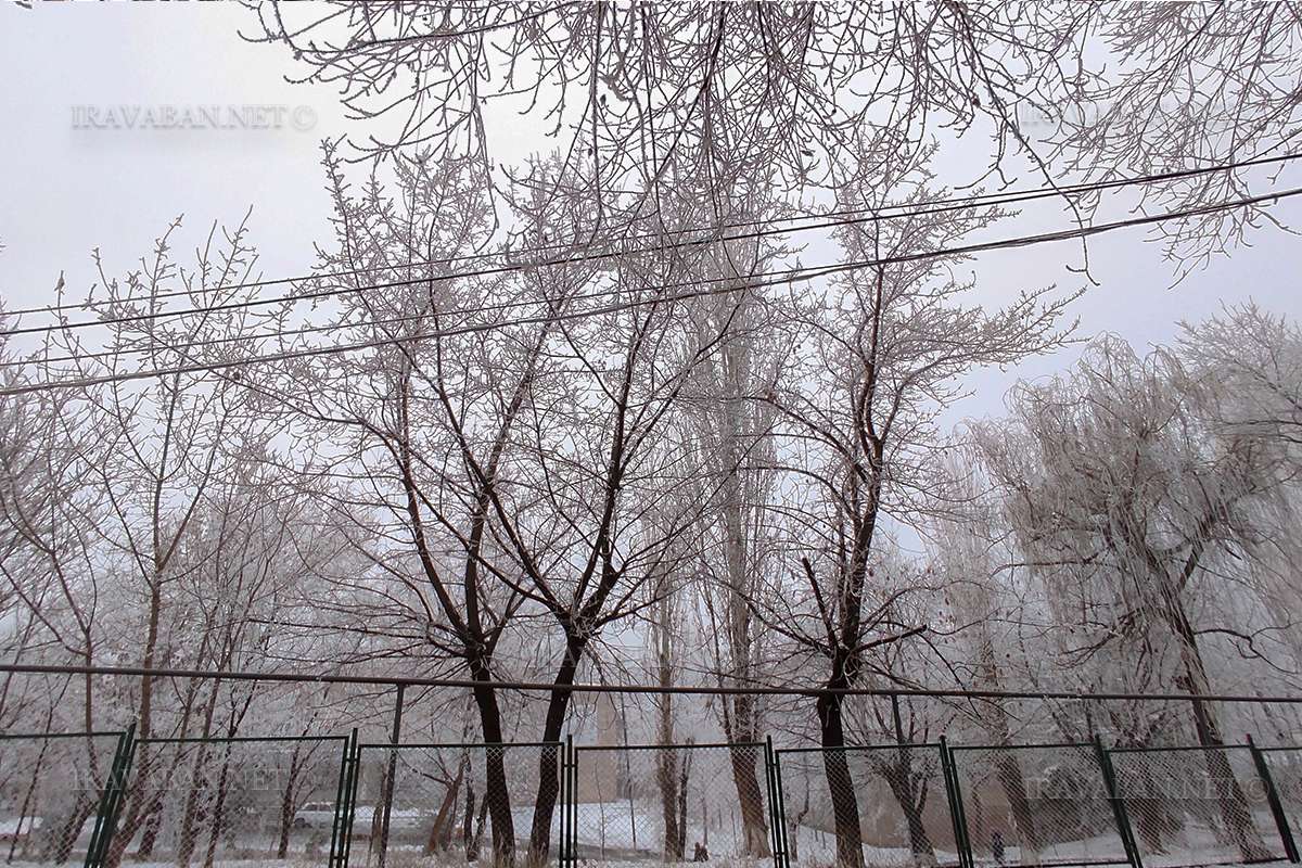 Weather without precipitation is expected