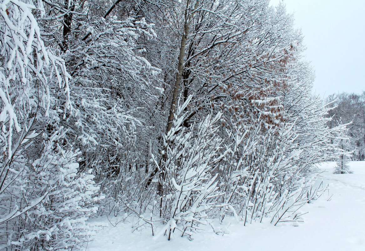 Տեղումներ չեն սպասվում, օդի ջերմաստիճանը կբարձրանա
