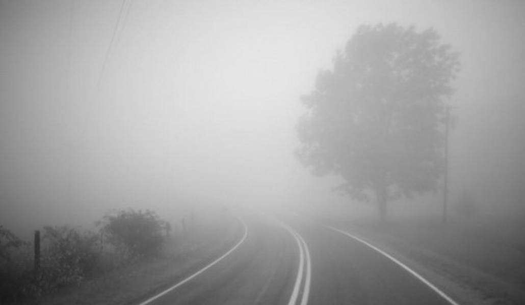 Weather without precipitation is expected, fog in the morning