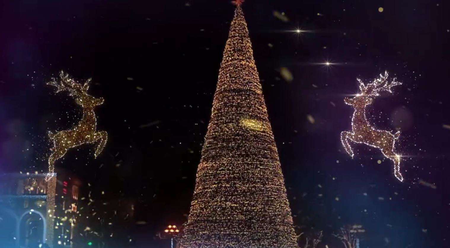 Տոնածառի միջոցառմամբ պայմանավորված՝ այսօր և վաղը կլինեն երթևեկության սահմանափակումներ