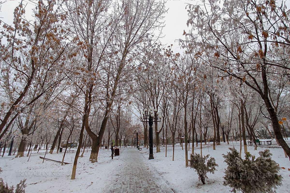 Weather without precipitation is expected