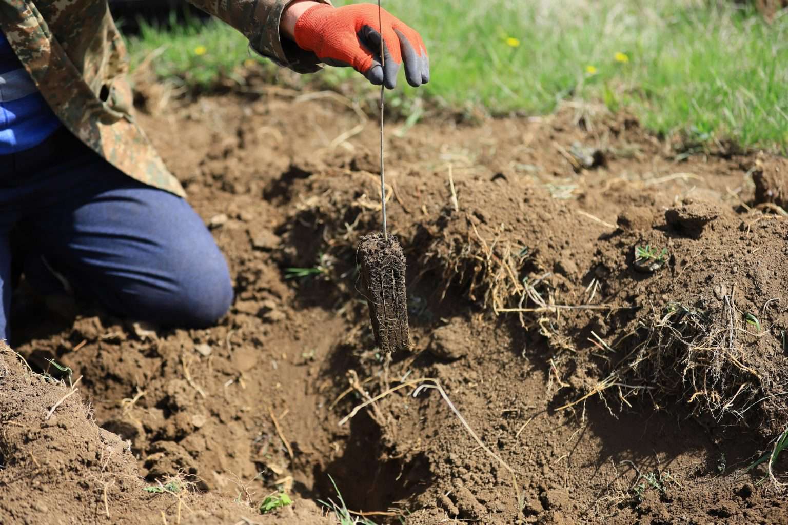 How many trees were planted in Gegharkunik?