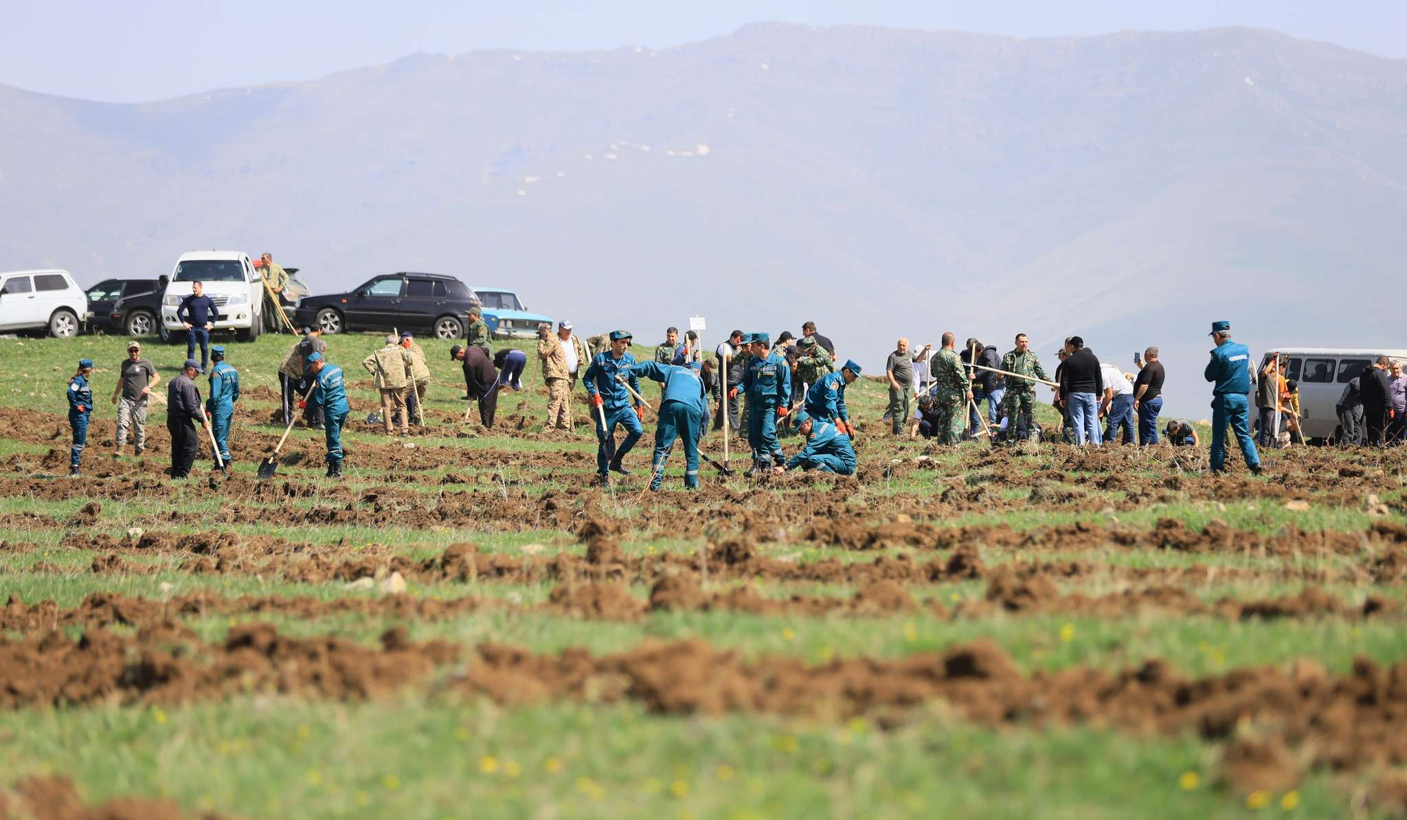 How many trees were planted in Syunik?