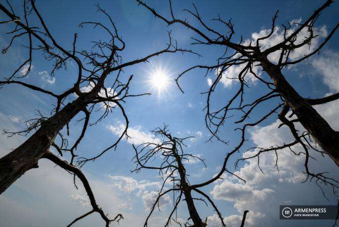 Weather without precipitation is expected