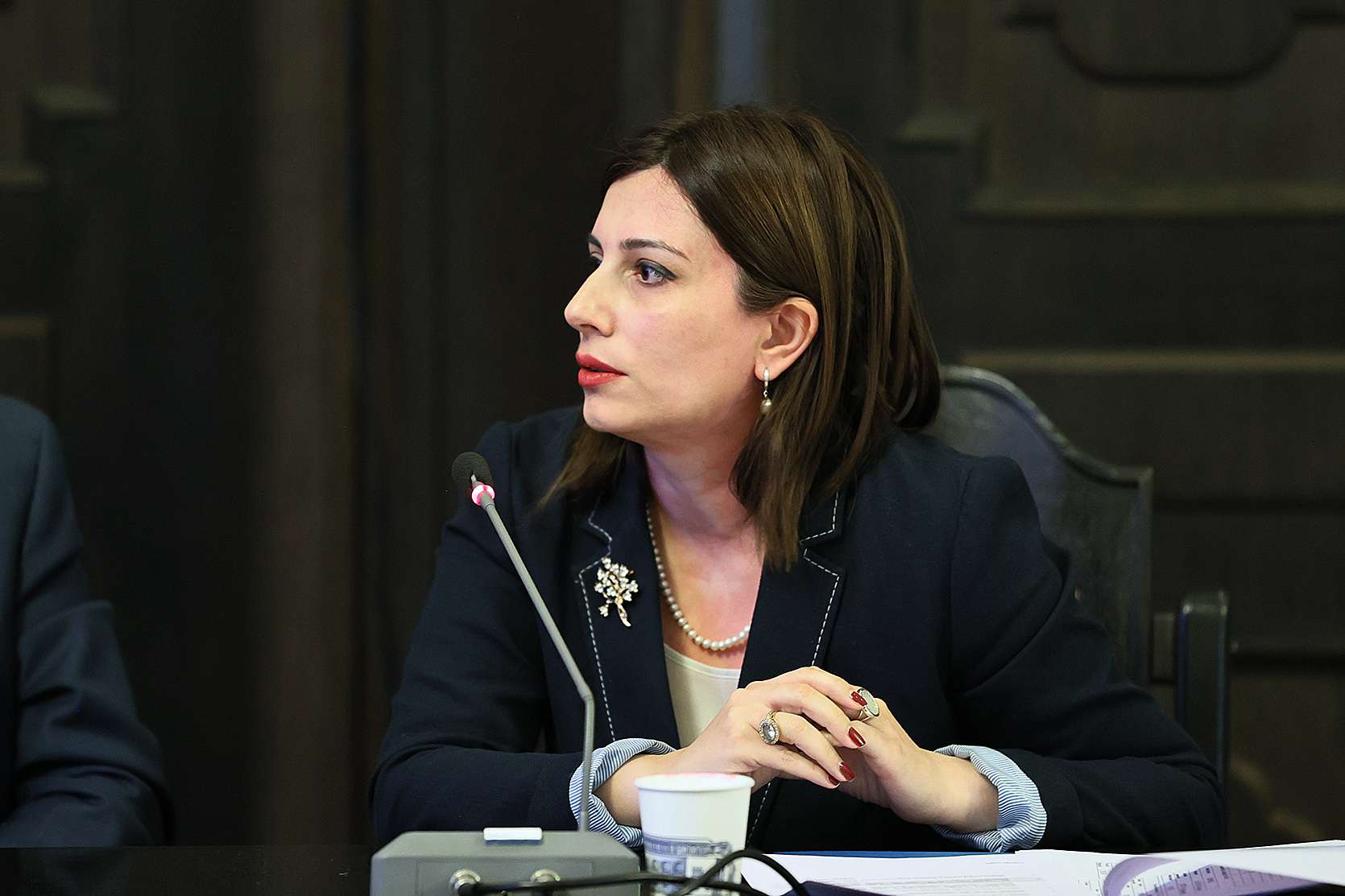 «Ամբողջովին անցնում ենք էլեկտրոնային ուղեգրման համակարգի». Ավանեսյան (ՏԵՍԱՆՅՈՒԹ)