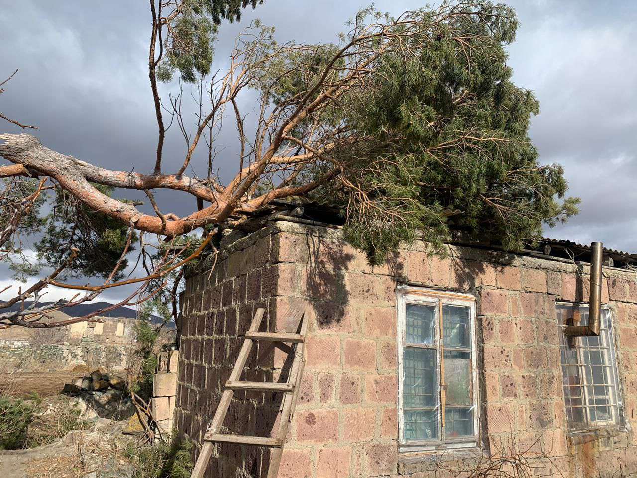 Լոռու մարզում քամուց ծառեր են պոկվել, տանիքներ են վնասվել (ԼՈՒՍԱՆԿԱՐՆԵՐ)